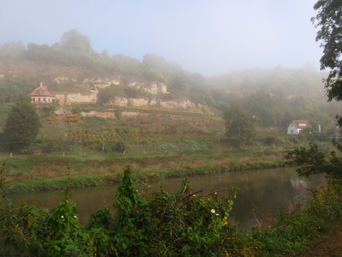 All of the grape growth is on the north side of the river.